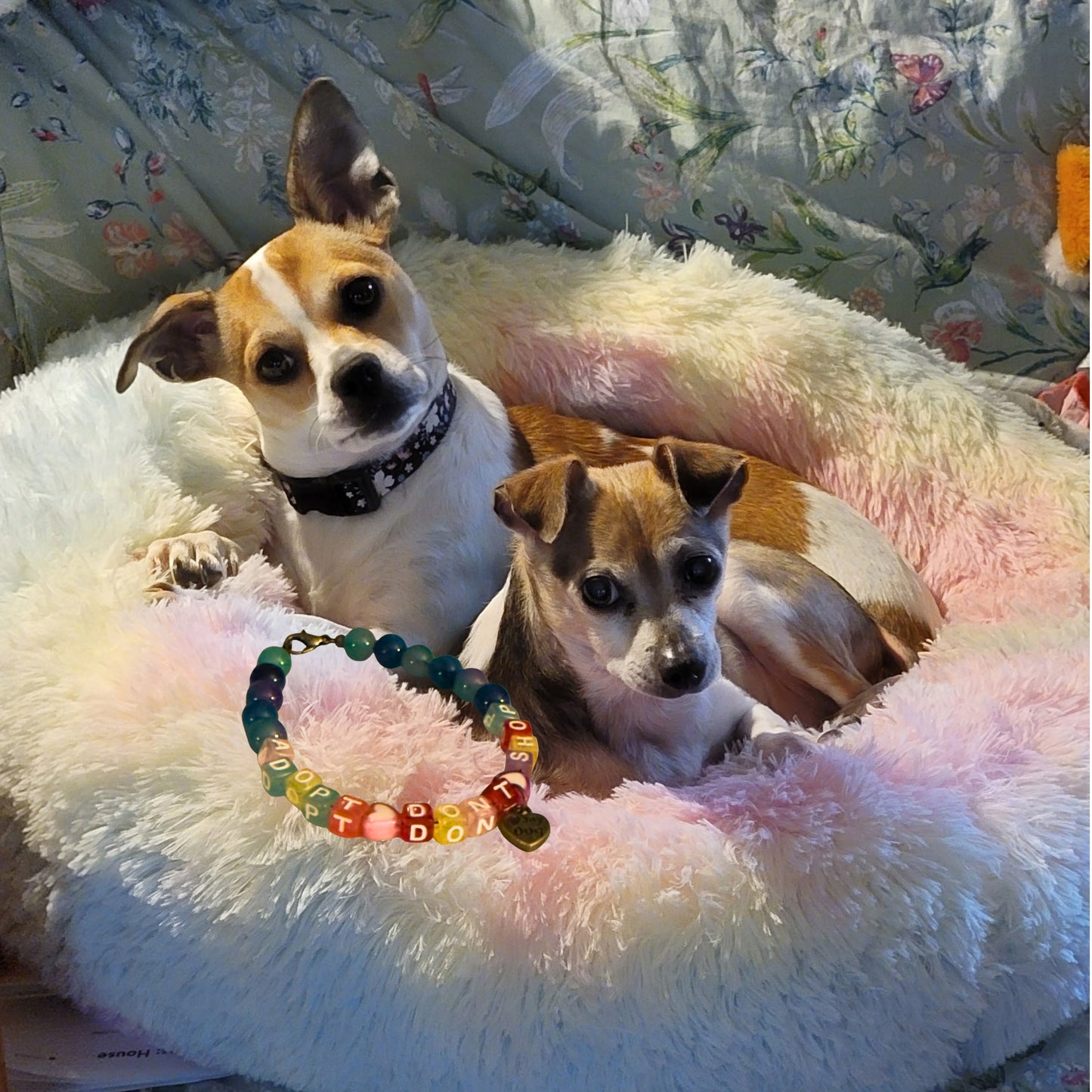 Adopt Don’t Shop • Wear Your Compassion • Paw Heart Bracelet