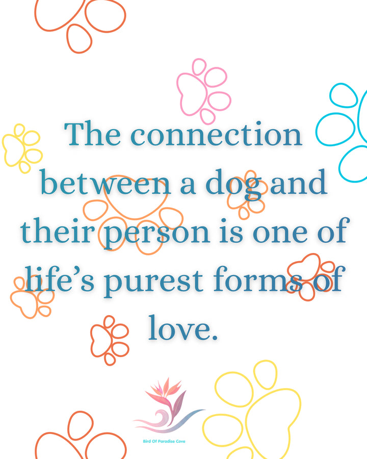 Inspirational quote graphic reading, “The connection between a dog and their person is one of life’s purest forms of love.”