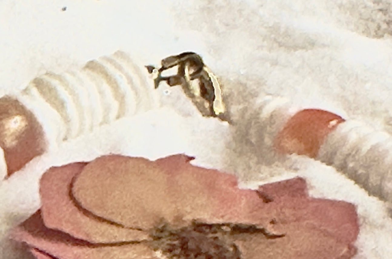 Lobster clasp closure detail on shell bracelet